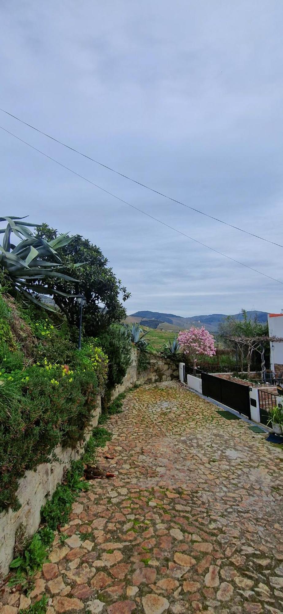 Casa Rodrigues Villa Pinhao Ngoại thất bức ảnh